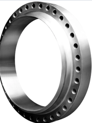 Steel Forged Rings