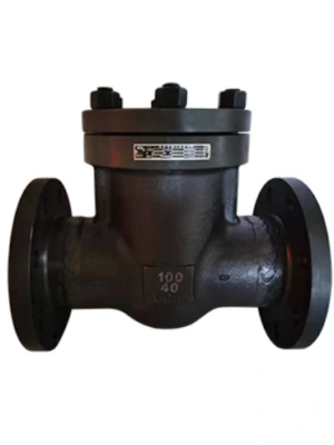 Stainless Steel Flanged Check Valve