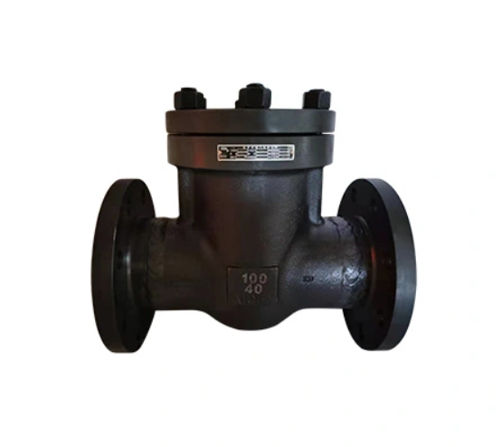 Stainless Steel Flanged Check Valve