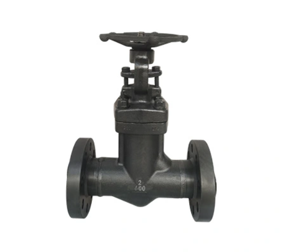 Stainless Steel Flanged Gate Valve