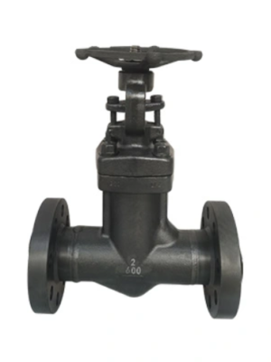 Stainless Steel Flanged Gate Valve
