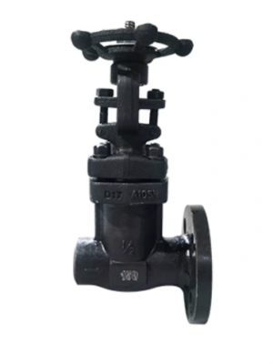 Stainless Steel Flanged Globe Valve