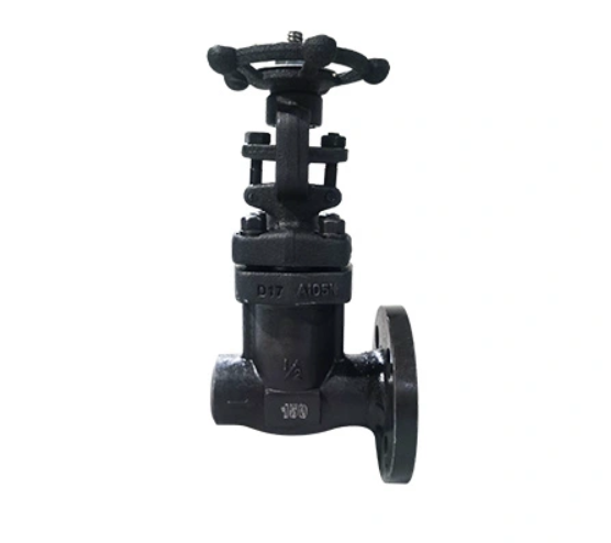 Stainless Steel Flanged Globe Valve