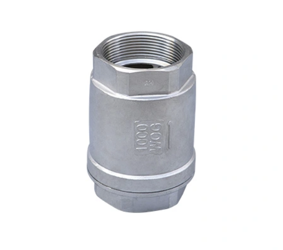 Screwed Spring Check Valve