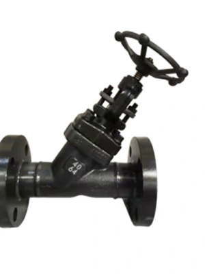 Steel Flanged Y Type Stainer